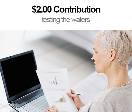2-dollar-contribution